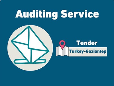 Tender..... We are looking for a company that provides financial audit services
